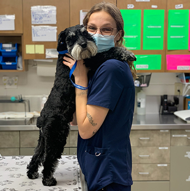 AAHA - Vet in Federal Way | Twin Lakes Veterinary Hospital